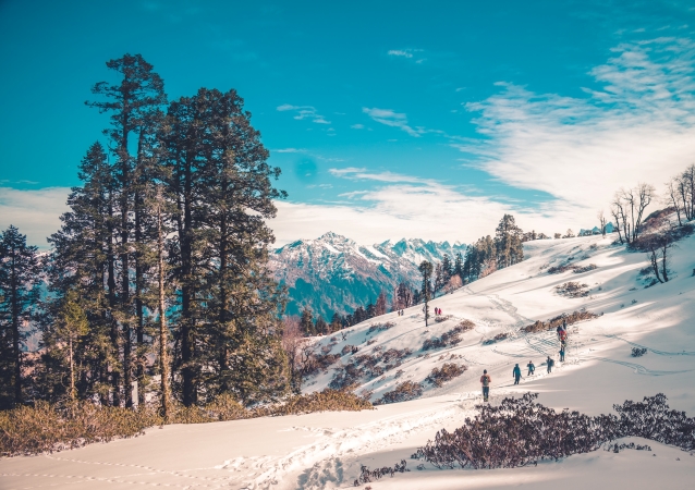 Shimla Manali tour packages,Honeybee trips pvt ltd,Best Shimla Manali tour packages from Bangalore,Best Shimla Manali tour packages from RT Nagar,Best Shimla Manali Honeymoon packages from Bangalore,Best travel agency in RT Nagar,Best Shimla Manali trips from Bangalore,Best Shimla Manali trips from RT Nagar,top 10 Shimla Manali tour packages in RT Nagar,top 10 Shimla Manali tour packages in Bangalore,Honeybeetrips,Shimla Manali trips,Shimla Manali packages,Honeybee trips Bangalore.